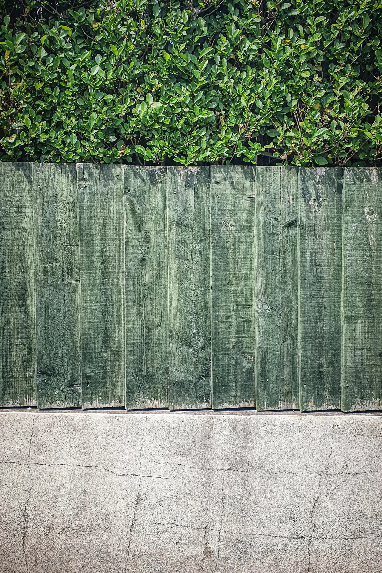 Pressure-treated pine wood fence built to exact property lines.