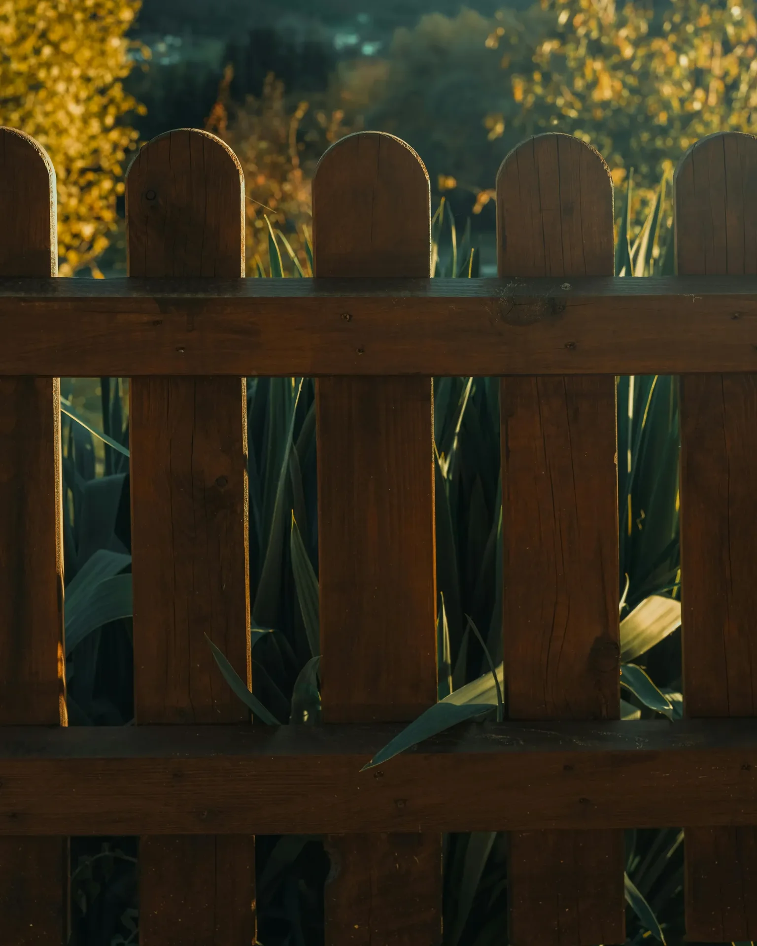 Custom wood privacy fence with heavy-duty posts
